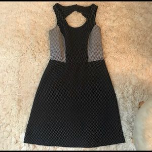 The Limited Colorblock dress